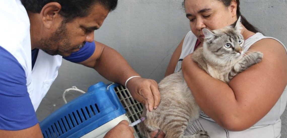 Vila Velha terá vacinação antirrábica para cães e gatos e feira de adoção neste sábado