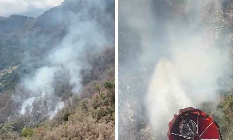 Incêndio atinge Parque Estadual Mata das Flores, em Castelo, no Sul do ES