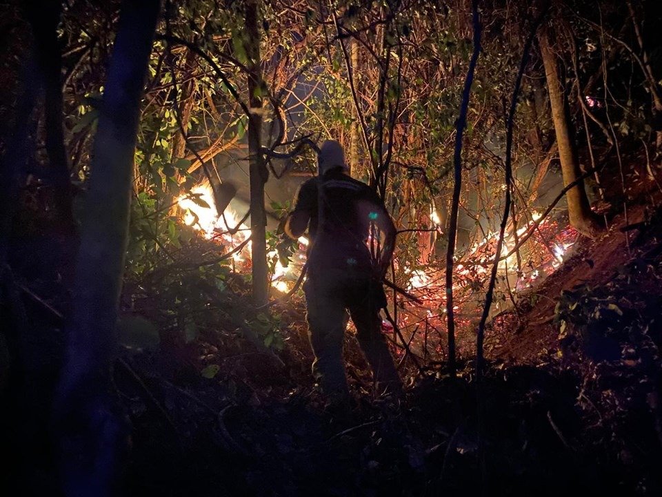 Corpo de Bombeiros intensifica combate a incêndios florestais com Operação Saturação