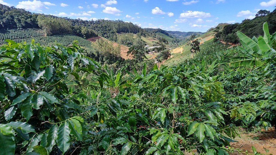 Como fica a agricultura capixaba com o estado de alerta sobre a situação hídrica no ES