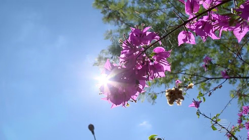 Chuva e calor? Veja como será a primavera no ES