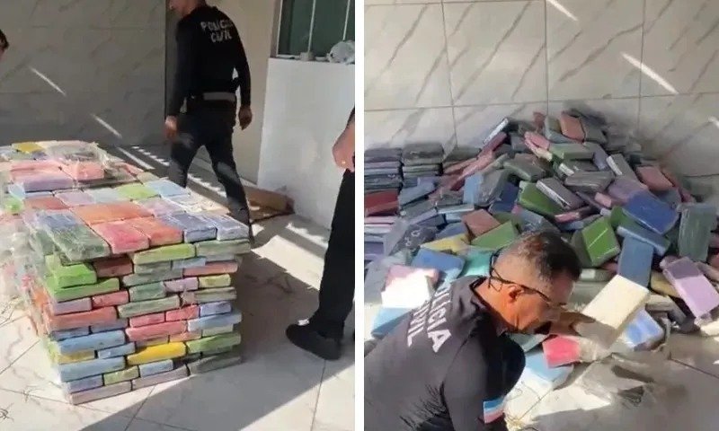 Meia tonelada de cocaína é apreendida em bunker no ES e seria enviada para Europa