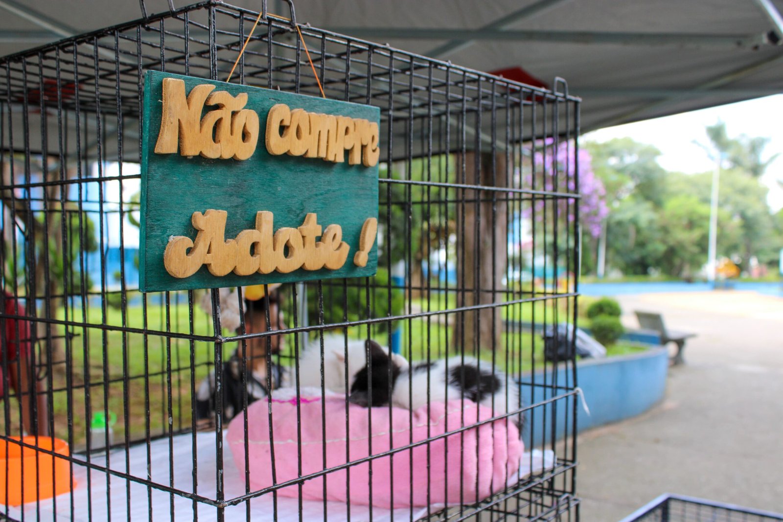 Shopping Vila Velha promove feira de adoção pet neste sábado