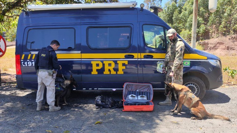 PRF e PF apreendem mais de 21 kg de drogas em operação com cães farejadores em Viana