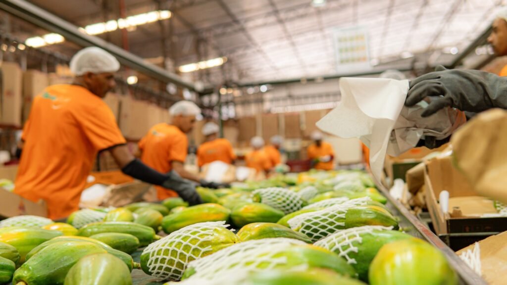 Mais cinco empresas vão investir no ES após incentivos da Sudene