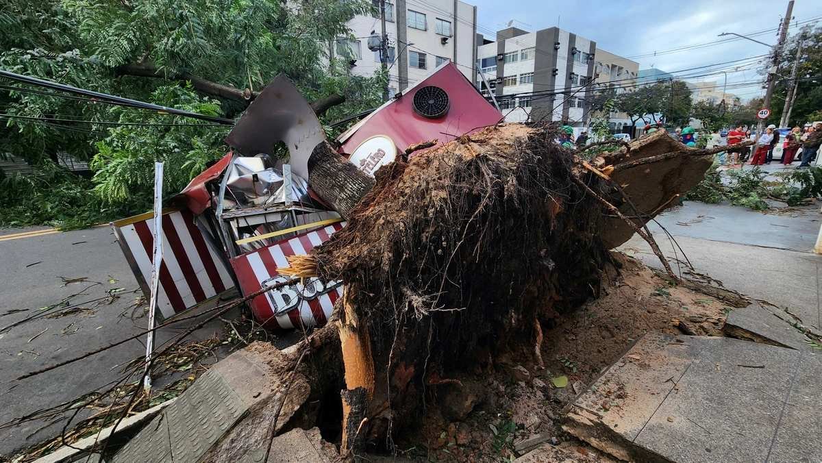 Ventos fortes derrubam árvores e causam estragos na Grande Vitória