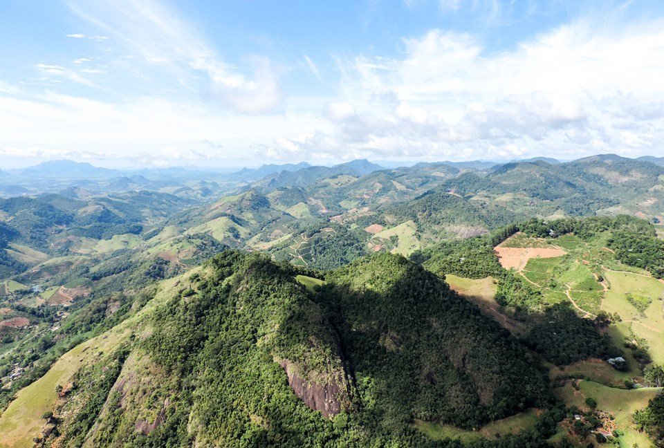 Es ultrapassa 2 milhões de mudas plantadas e reafirma liderança nacional em recuperação da Mata Atlântica