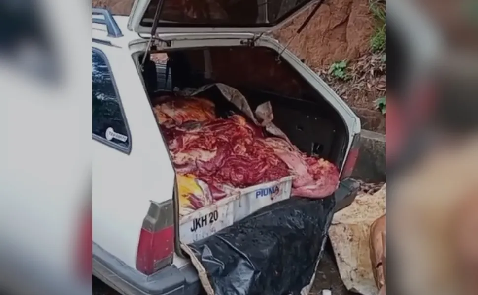 Polícia apreende 390 kg de carne de cavalo que seriam para churrasquinhos no ES