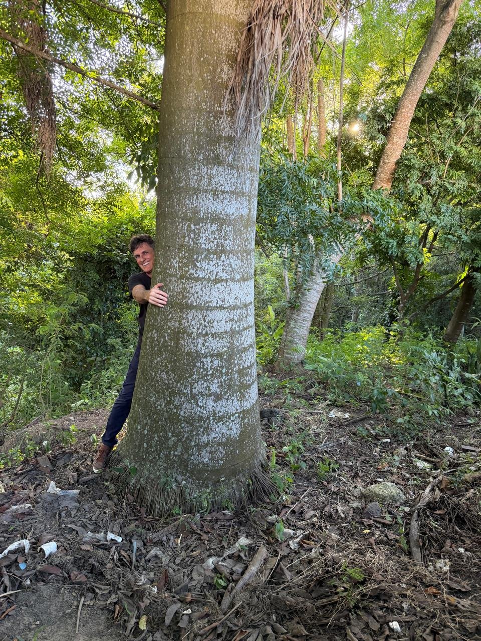 Empresário cria sombra, vida e exemplo na orla de Vitória e planta árvores em área de 4.000 metros de sua empresa