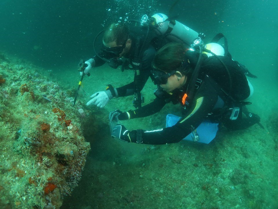 Controle do coral-sol: expedições do Iema já removeram mais de 2 mil colônias invasoras