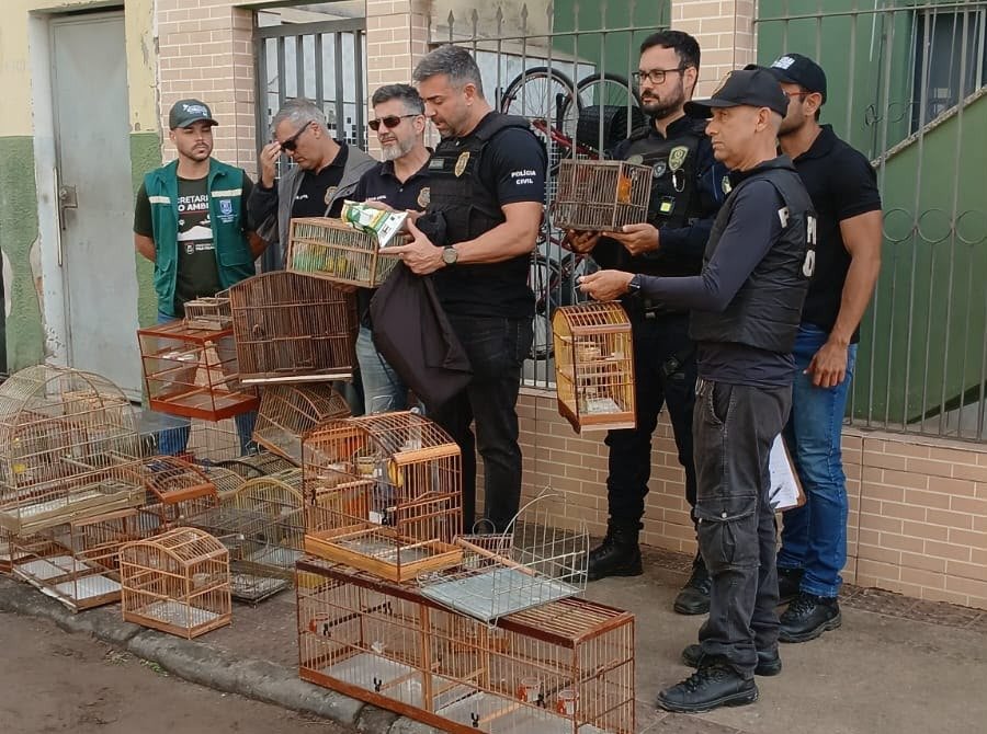 22 aves apreendidas em operação contra comércio ilegal de animais silvestres em Vila Velha