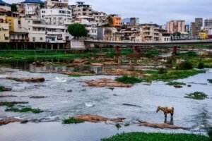 ES se prepara para enfrentar período de seca provocada pelo fenômeno El Niño