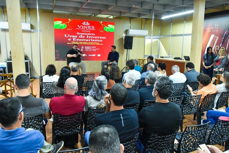 Edital seleciona produtores para projeto de cultivo de uvas de inverno no ES