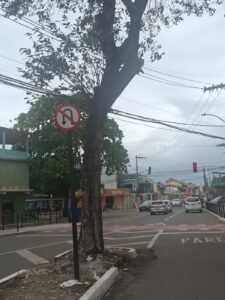 Vereador Ivan Carlini solicita ao Prefeito Arnaldinho Borgo revisão no trânsito de Soteco para fortalecer o comércio local