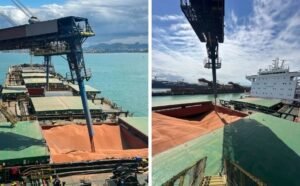 VLI inicia exportação de sorgo pelo ES e 160 mil toneladas são embarcadas para a China